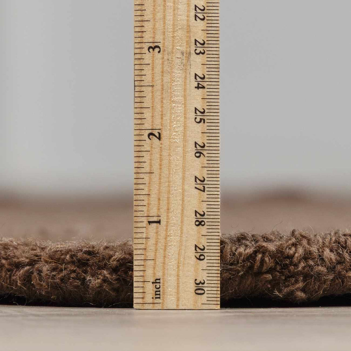 Chogan Chocolate Brown Area Rug