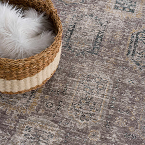 Noga Area Rug - Clearance