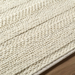 Clarke Beige Textured Wool Rug