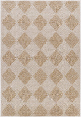 Collen Area Rug