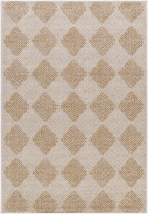 Collen Area Rug