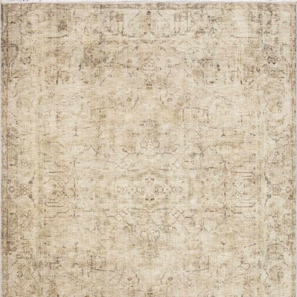 Fetscher I Vintage Medallion Area Rug