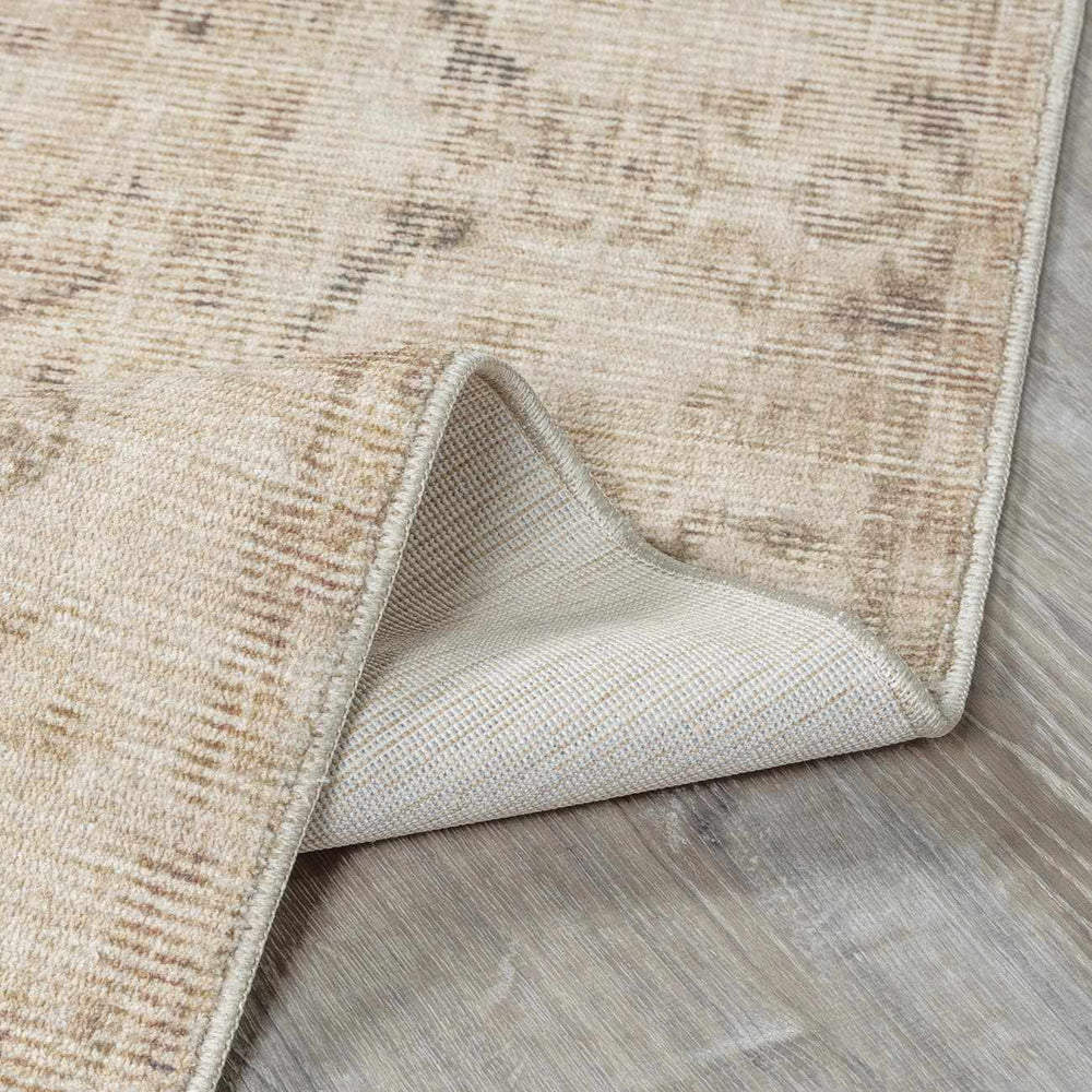Fetscher I Vintage Medallion Area Rug