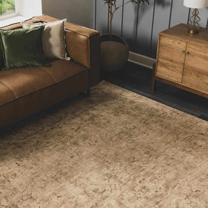 Fetscher I Vintage Medallion Area Rug