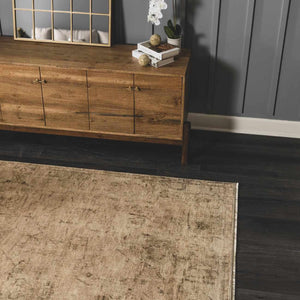 Fetscher I Vintage Medallion Area Rug