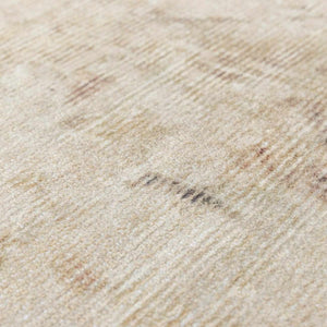 Fetscher I Vintage Medallion Area Rug