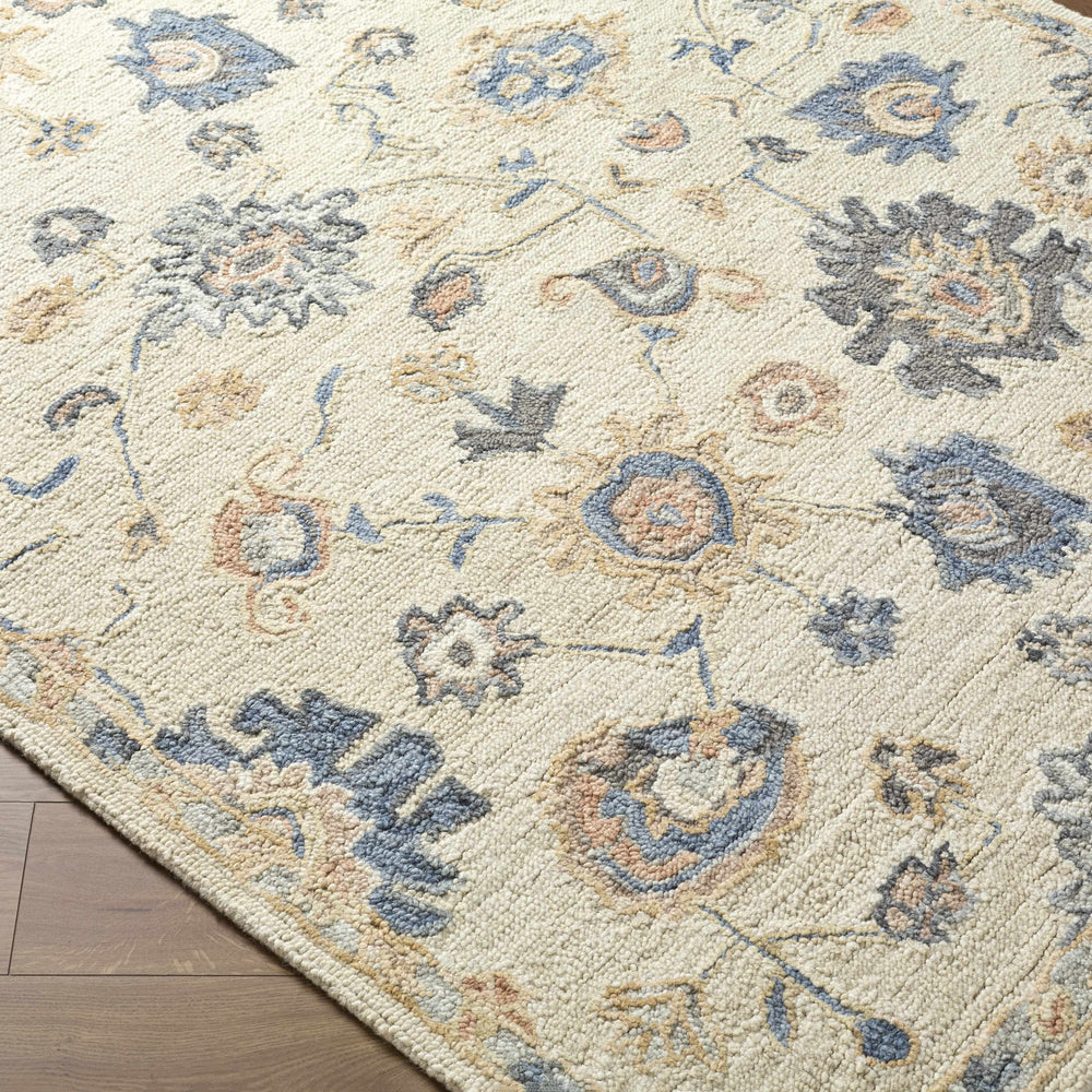Candid Oushak Area Rug