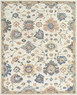 Candid Oushak Area Rug