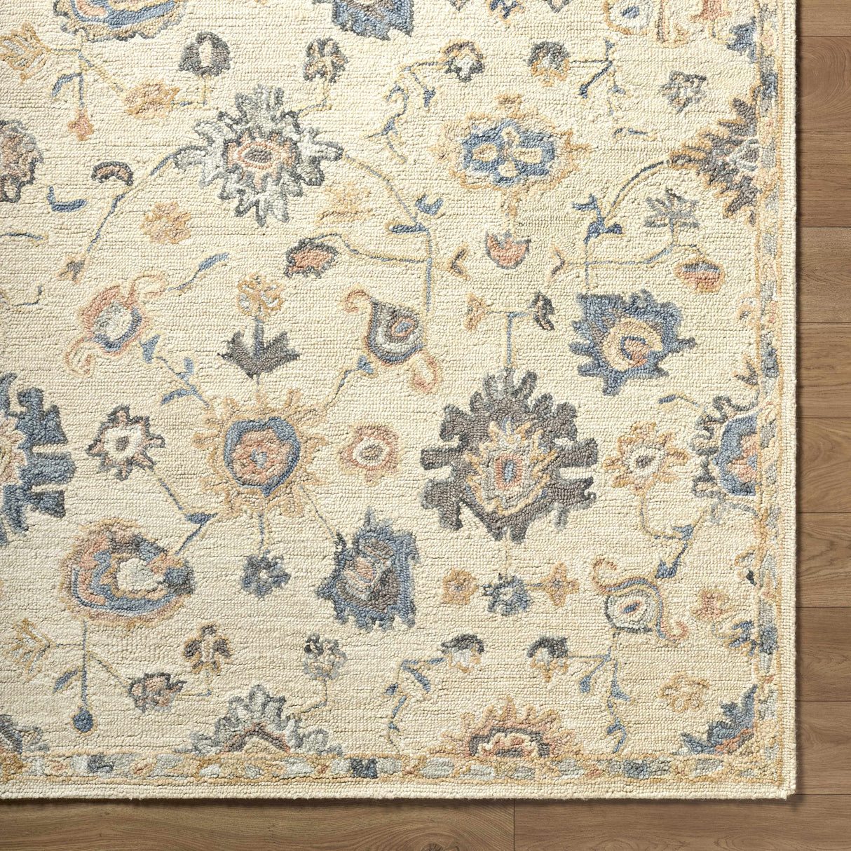 Candid Oushak Area Rug