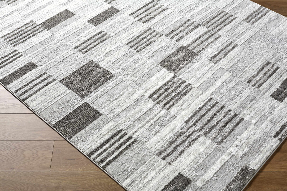 Chiaki Light Gray Area Rug