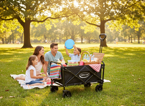 Collapsible Wagon Cart with Wheels Foldable - Folding Utility Heavy Duty Wagon