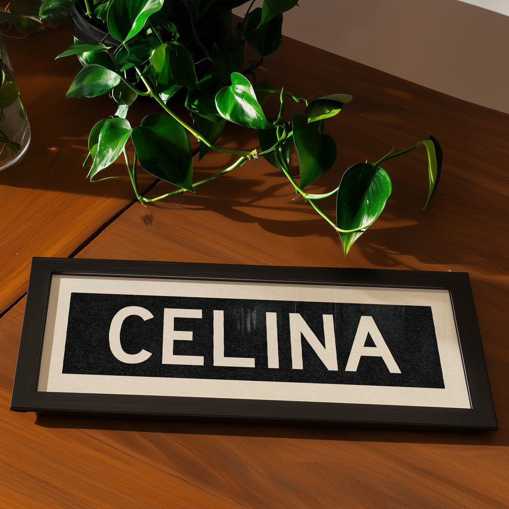 Framed Celina Bus Scroll Sign