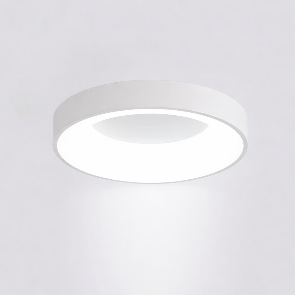 LED Ceiling Light Remote Control Dimmable Adjustable Color Temperature Lamp