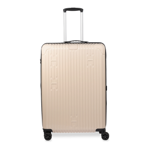 Check-In Luggage