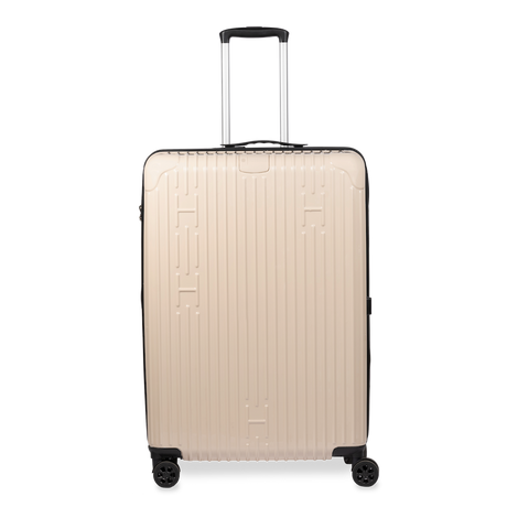 Check-In Luggage