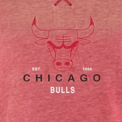 Chicago Bulls Women's Pullover Team Logo Sweatshirts Officially Licensed NBA