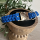 Collars and Accessories