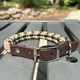 Collars and Accessories