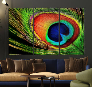 Colorful Peacock Feather Wall Art Print - Vibrant Green,
