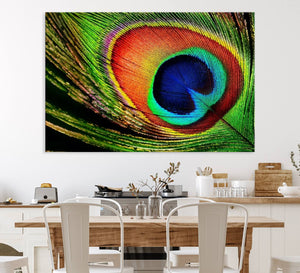 Colorful Peacock Feather Wall Art Print - Vibrant Green,