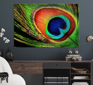 Colorful Peacock Feather Wall Art Print - Vibrant Green,