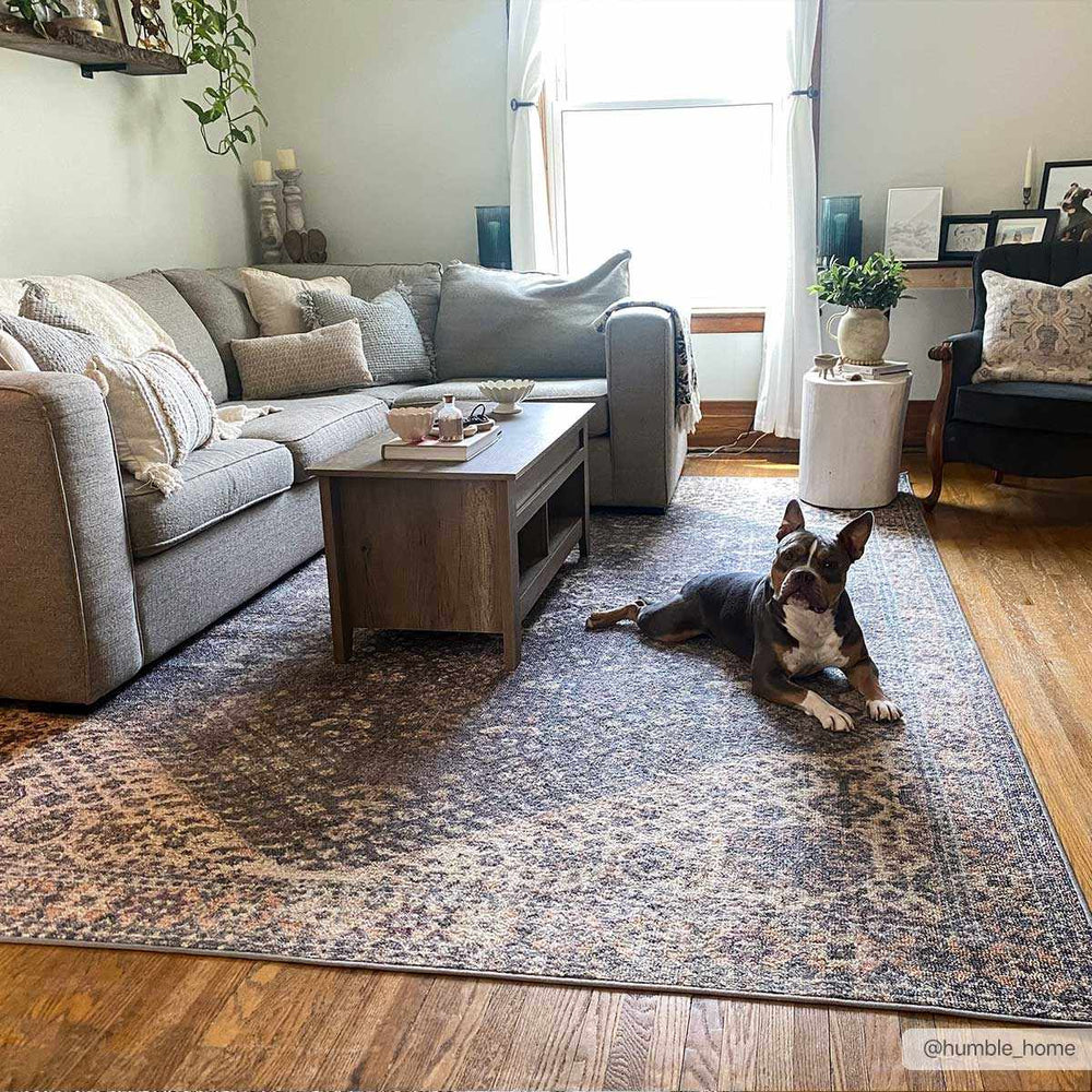 Seok Washable Area Rug - Clearance