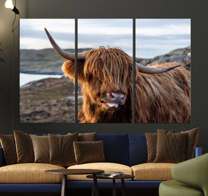 Cuddly Highland Cow Canvas Photo Wall Art Print Highlands
