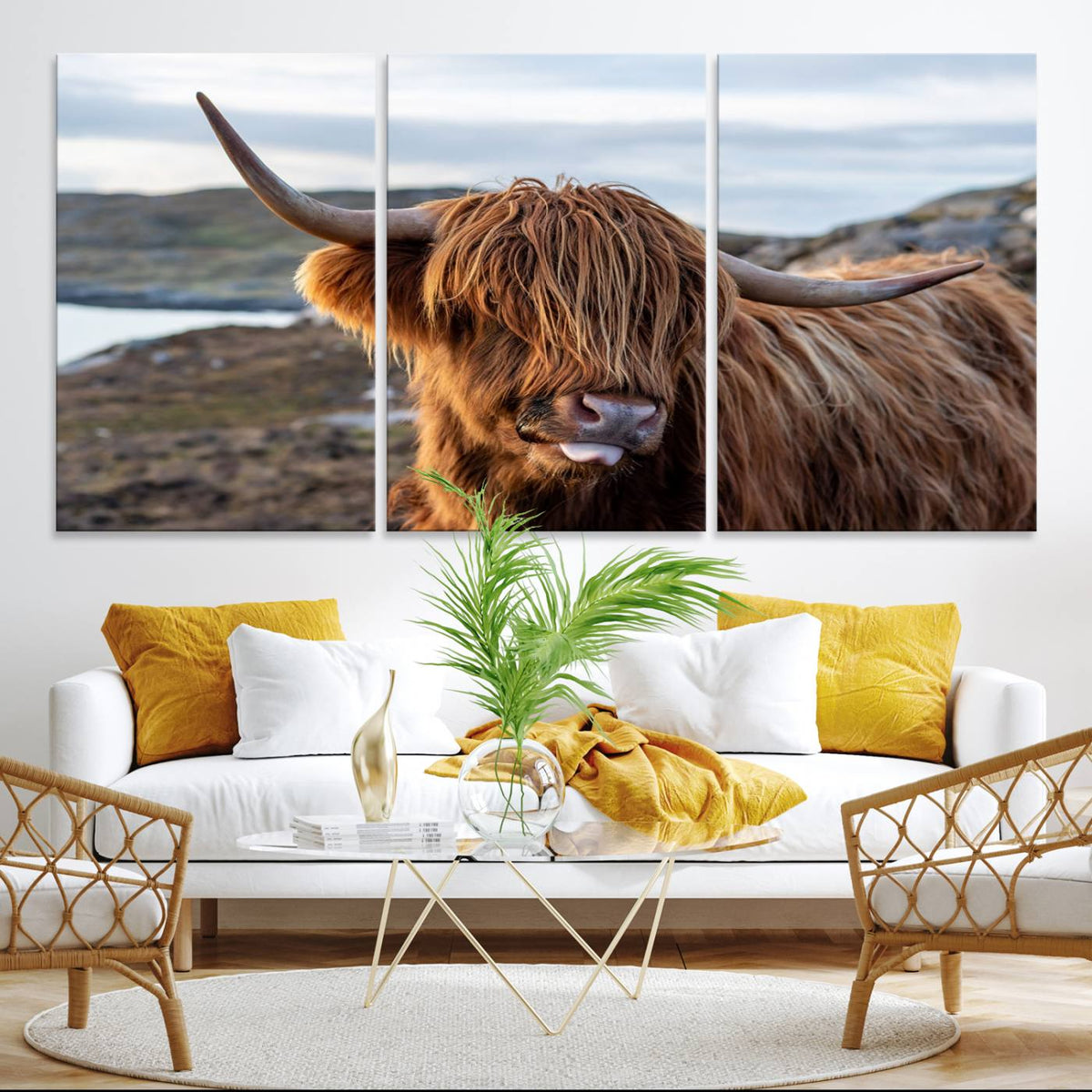 Cuddly Highland Cow Canvas Photo Wall Art Print Highlands