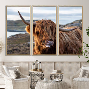 Cuddly Highland Cow Canvas Photo Wall Art Print Highlands
