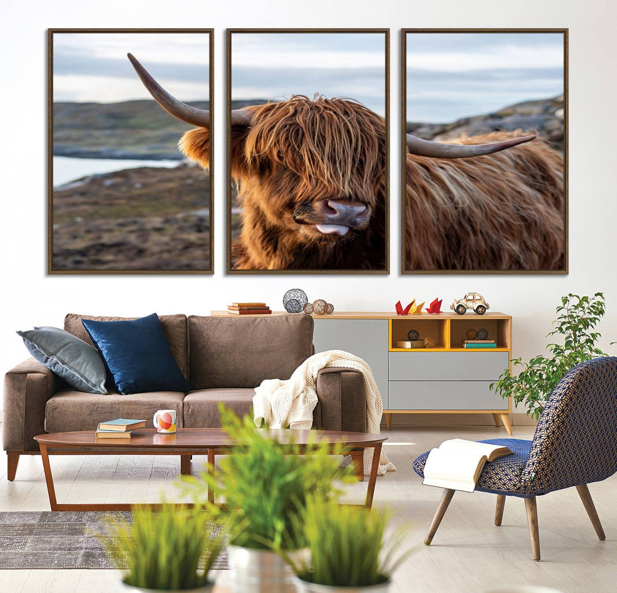Cuddly Highland Cow Canvas Photo Wall Art Print Highlands
