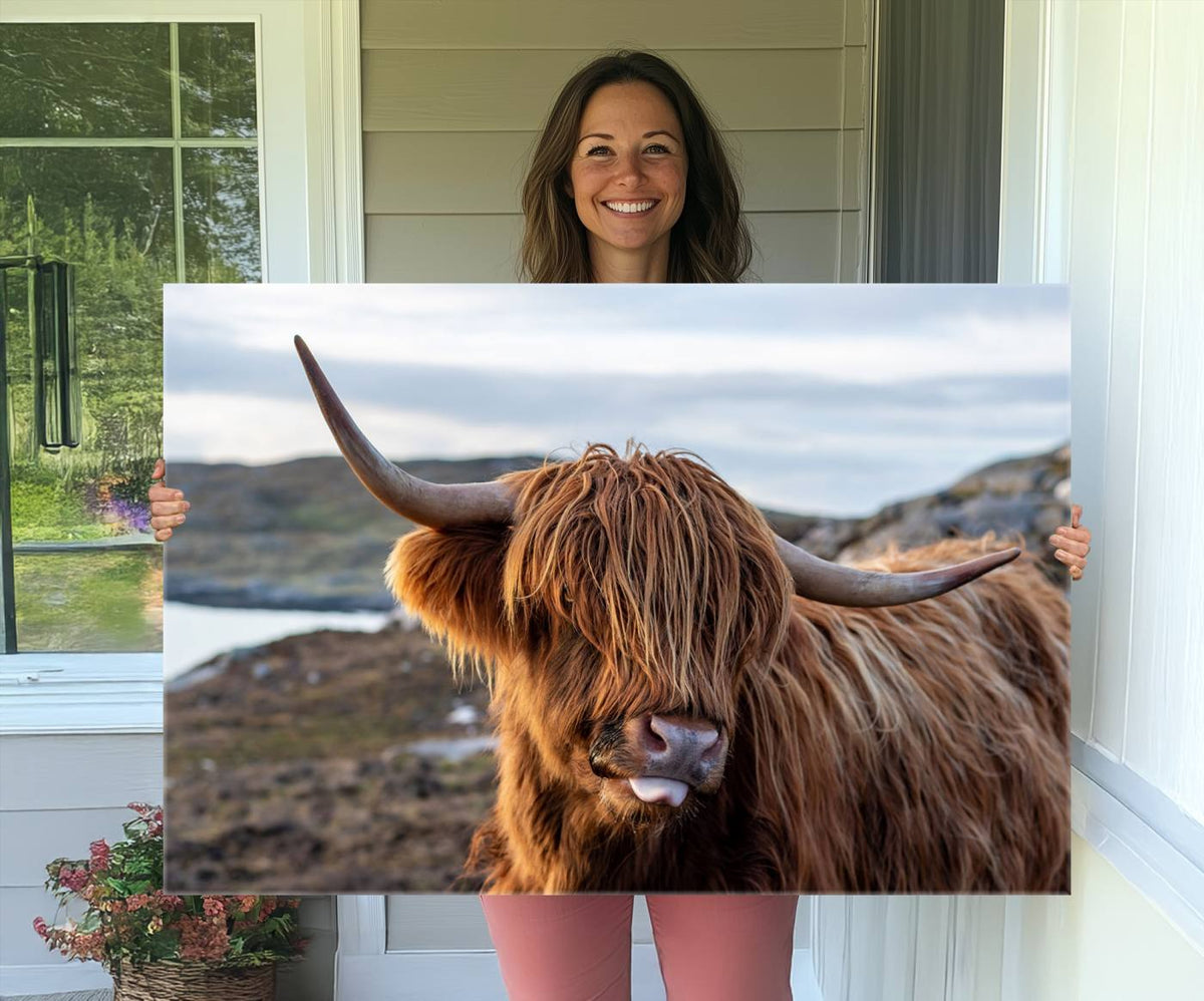 Cuddly Highland Cow Canvas Photo Wall Art Print Highlands