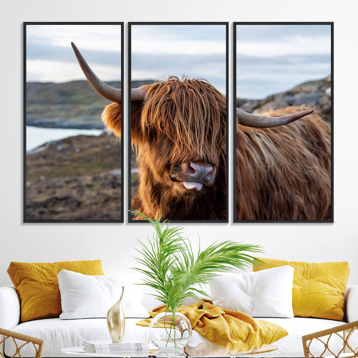 Cuddly Highland Cow Canvas Photo Wall Art Print Highlands