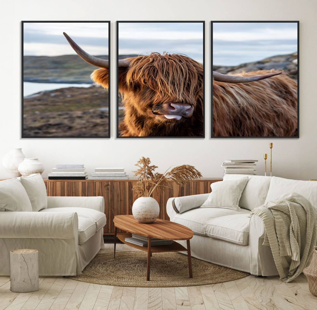 Cuddly Highland Cow Canvas Photo Wall Art Print Highlands