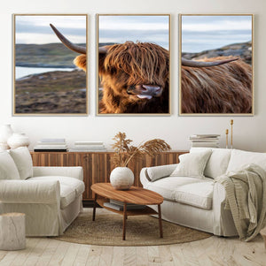 Cuddly Highland Cow Canvas Photo Wall Art Print Highlands