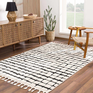Teshi Checkered Area Rug - Clearance
