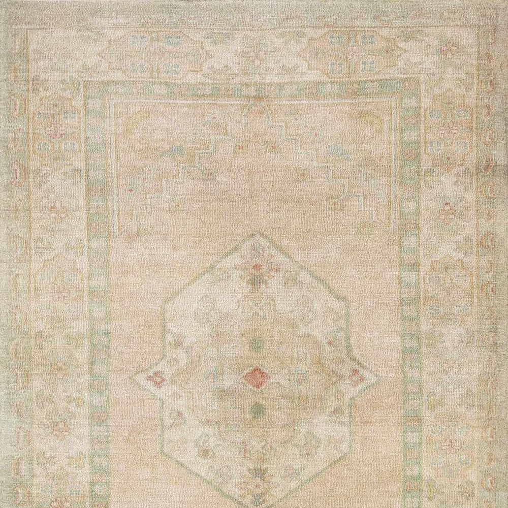 Luciana II Traditional Medallion Area Rug