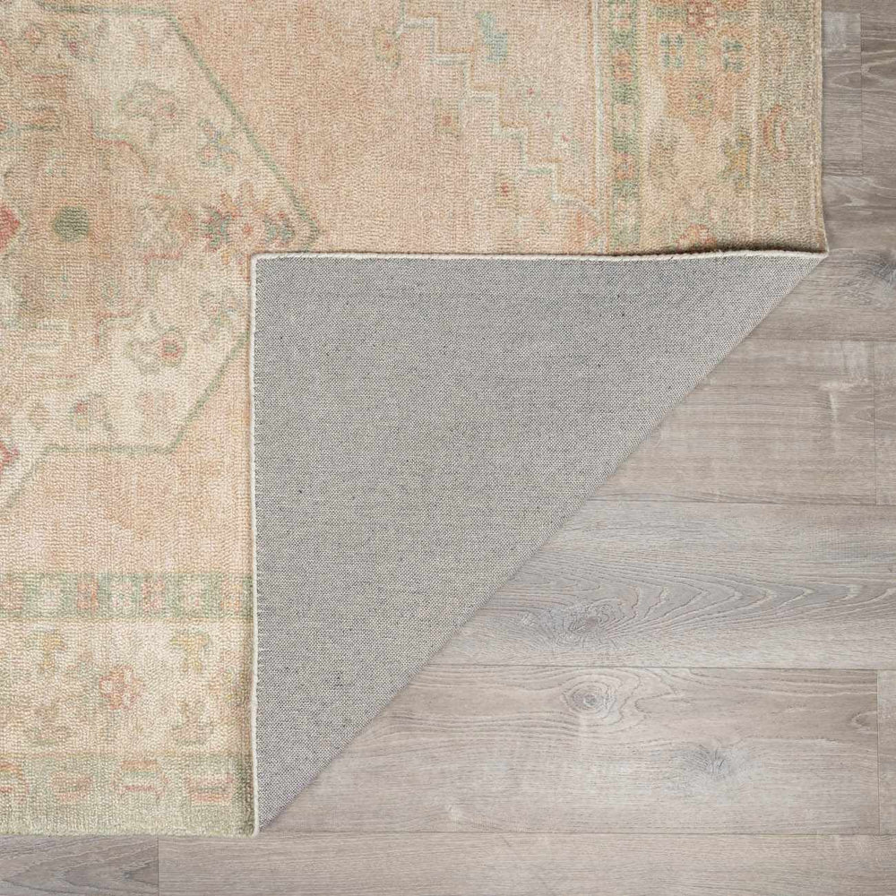 Luciana II Traditional Medallion Area Rug