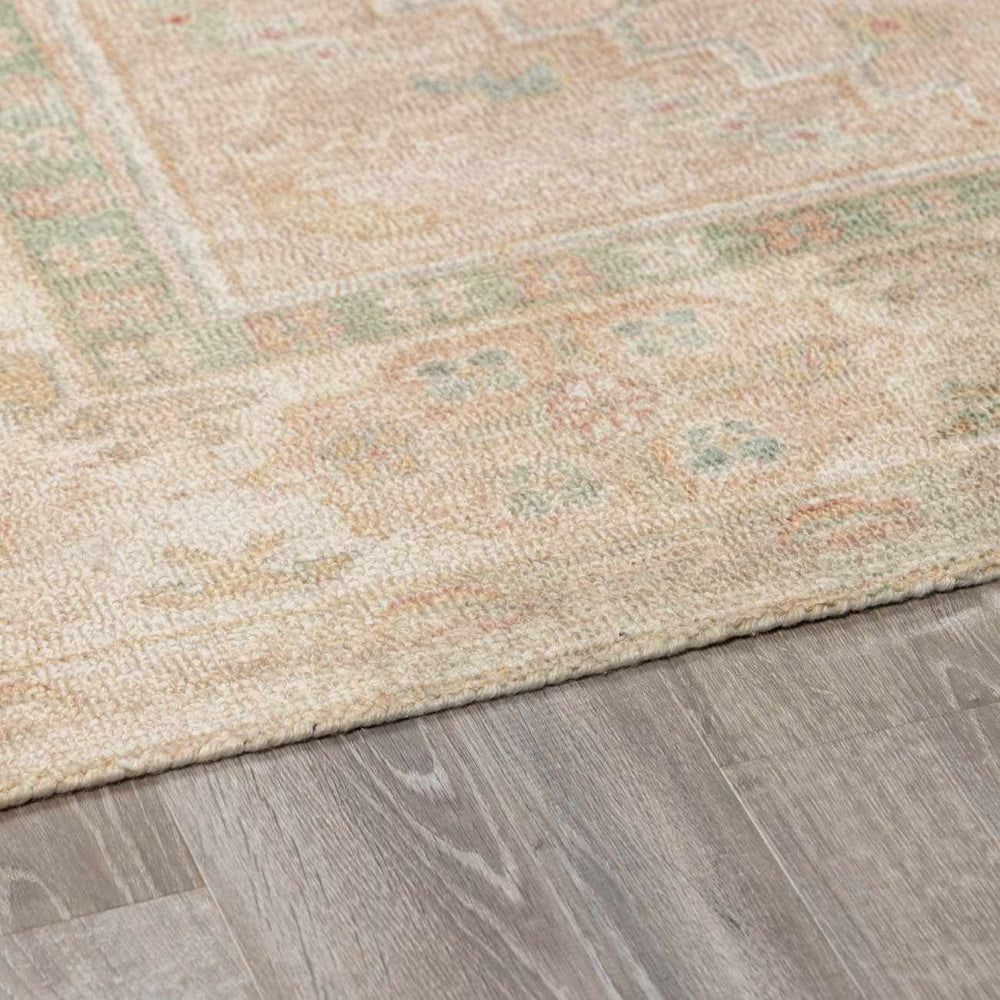 Luciana II Traditional Medallion Area Rug