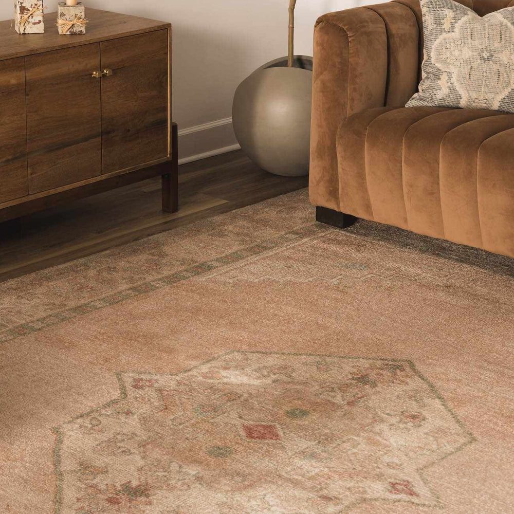 Luciana II Traditional Medallion Area Rug