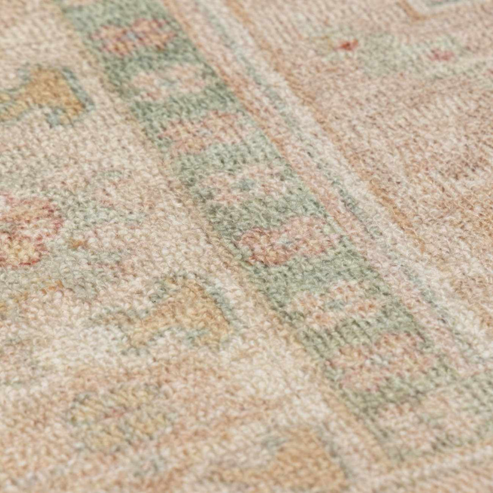 Luciana II Traditional Medallion Area Rug