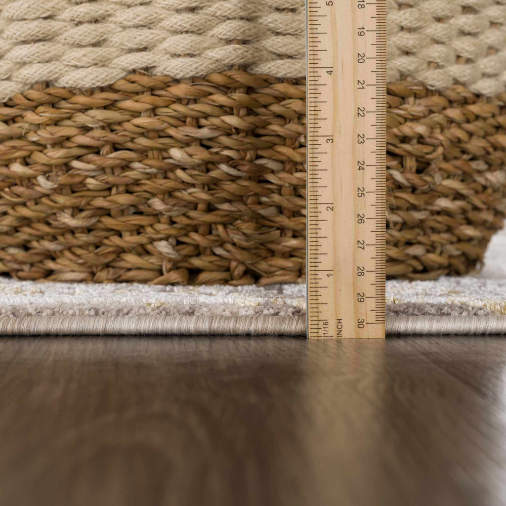 Alroy Textured Rug with Fringes