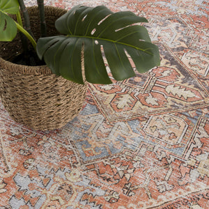 Eira Distressed Washable Rug - Clearance