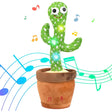 Dancing-Cactus-Mimicking-Toy,-USB-C-Rechargeable-