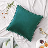Square Velvet Throw Pillow (With/Without Inserts) 20x20 inches, pack of 2 throw pillows