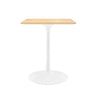 Lippa 24" Square Wood Dining Table by Modway