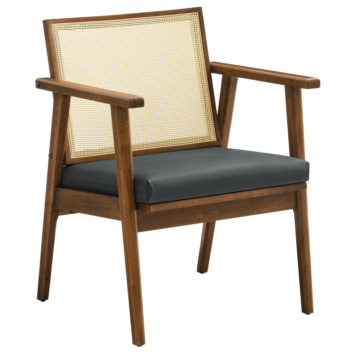 Thera Vegan Leather and Cane Accent Armchairs Set of 2