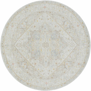 Engin Area Rug