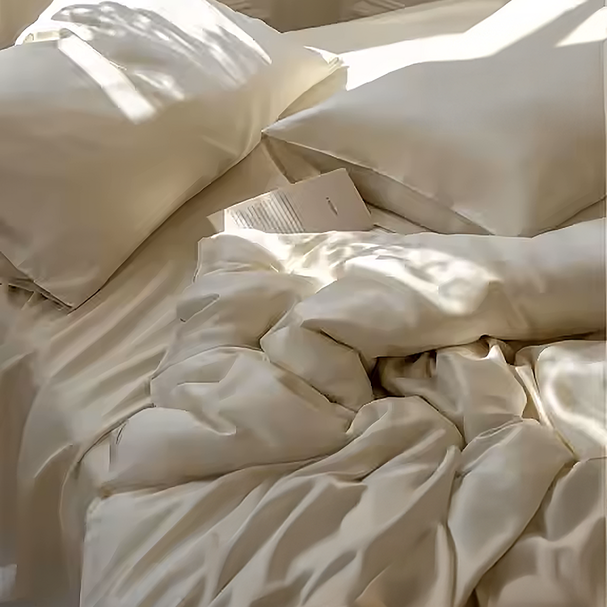Eucalypso Silky Pillowcase Set (2)