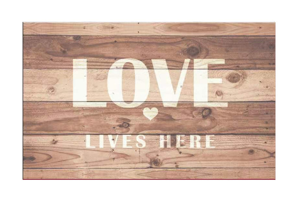 18" X 30" Kitchen Floor Mat for Front of Sink With Non-Skid Backing (Love Lives Here)