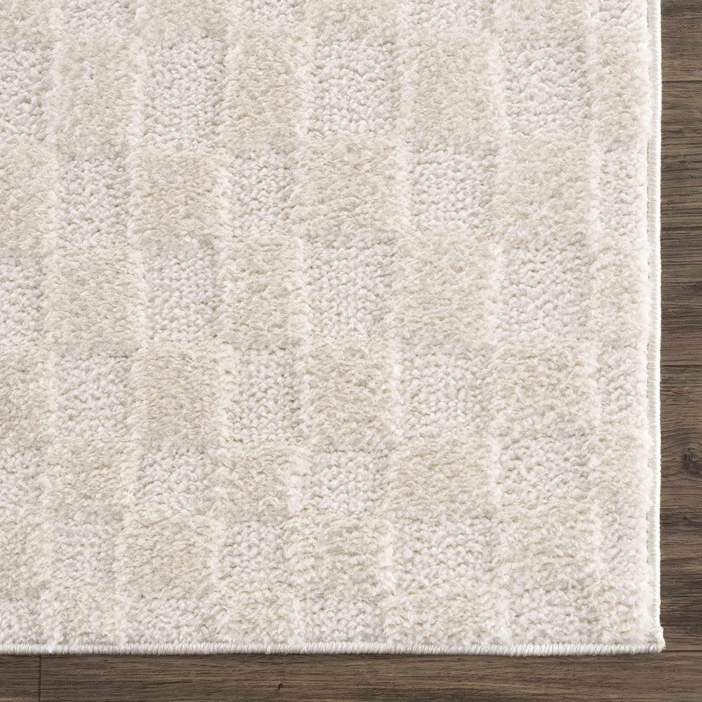 Keesa Checkered Area Rug